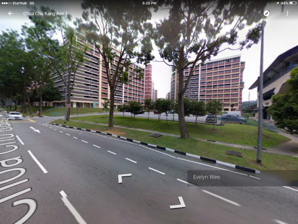 Blk 123 Teck Whye Lane (Choa Chu Kang), HDB 5 Rooms #106255782